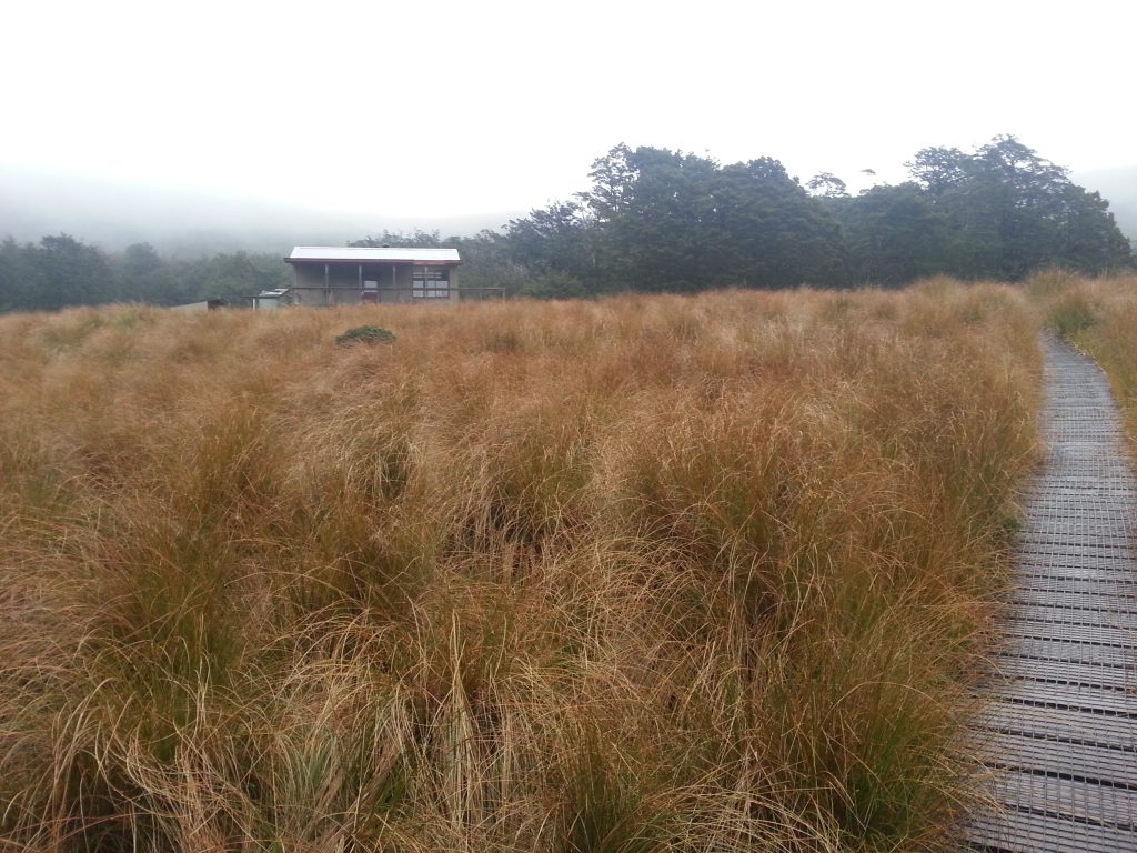 Speargrass Hut