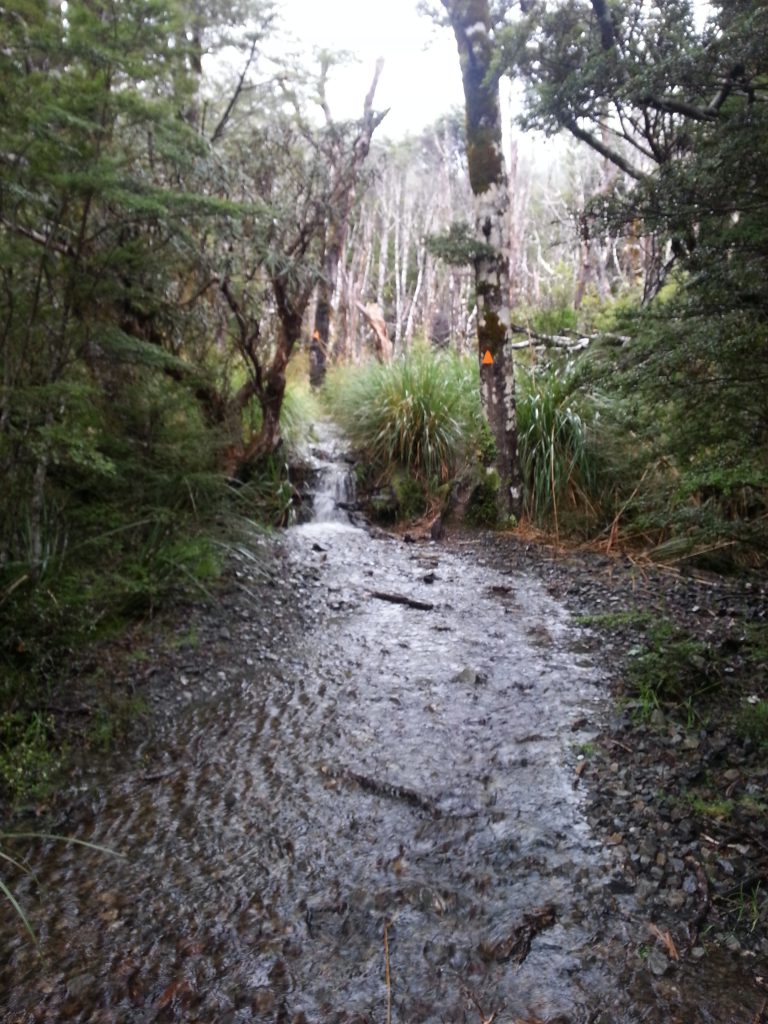 Wet track