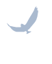 Free As A Bird